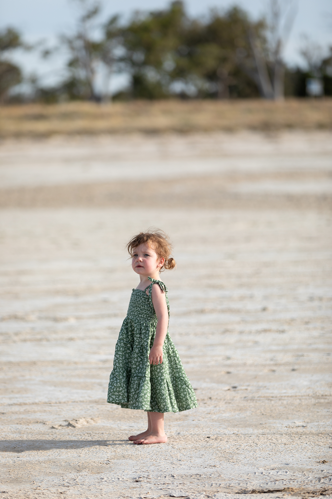 Belle Fleur Verde Dress Mini