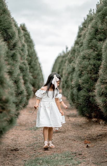 Penelope Dress (mini) - Bibs and Bobs NZ